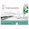 Bloc aquarelle Harmony 300g/m2 12feuilles grain satiné 24x30cm - Hahnemühle | Surdiscount