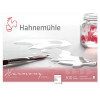 Bloc aquarelle Harmony 300g/m2 12feuilles grain fin 30x40cm - Hahnemühle | Surdiscount