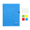 Lot de 4 cahiers - 24x32(cm) - Grands carreaux - 96 pages - couverture en polypro - sans spirale - Clairefontaine - Mimesys