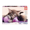 Puzzle Compagnons de rêves 500 pièces - Educa | Surdiscount