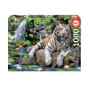 Puzzle Tigres blancs du Bengale 1 000 pièces - Educa | Surdiscount
