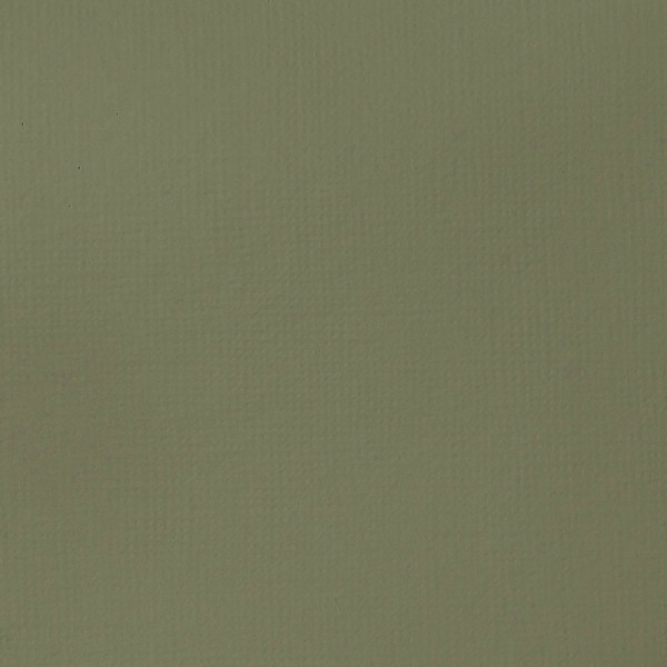 Peinture Acrylique en tube gris vert 118ml - Liquitex Basics