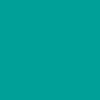 Cahier - A4 (21x29,7cm) - Petits carreaux - 160 pages - couverture rigide turquoise - spirale - Notebook Miquelrius