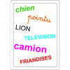 Jeu éducatif - Tam Tam Safari - Les mots en ien ion ian ein oin ain - Jeu de lecture