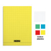 Lot de 10 cahiers - 24x32(cm) - Petits carreaux - 96 pages - couverture en polypro - sans spirale - Clairefontaine