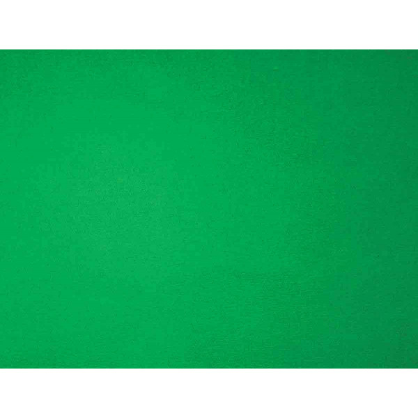photo-Feuille de papier crépon - Vert - 0,5 x 2 m - Loisirs créatifs - CTOP