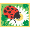 6 cartes sable paillette - Fleurs de printemps - Activités pour enfant