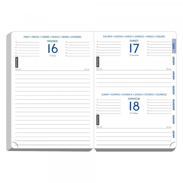 Agenda - 2026/2027 - Scolaire - Turquoise - 1page par jour - Septembre à septembre - Forum Metric