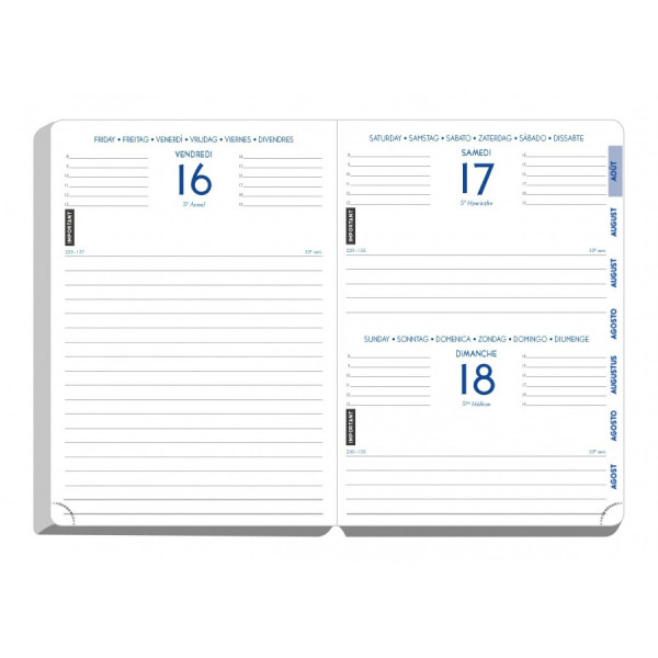 Agenda - 2026/2027 - Eden or doux - 1jour par page - Septembre à Septembre - Exacompta