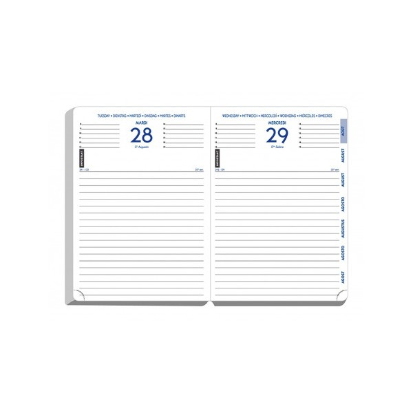 Agenda - 2026/2027 - Eden or doux - 1jour par page - Septembre à Septembre - Exacompta