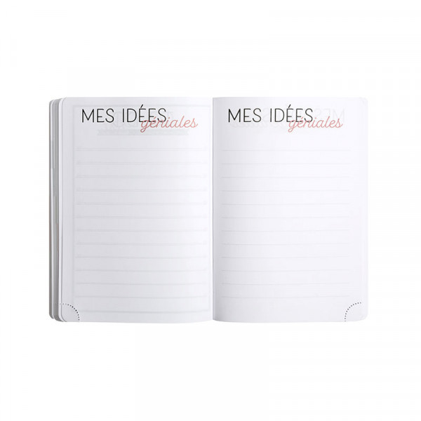Agenda - 2026/2027 - Scolaire - Rose brillant - 1jour par page - Septembre à Septembre - Exacompta