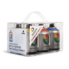 photo-Lot de bombes de peinture - 6 couleurs - water based - Mtn