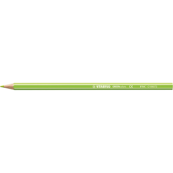 Etui carton de 12 crayons de couleur STABILO GREENcolors ARTY