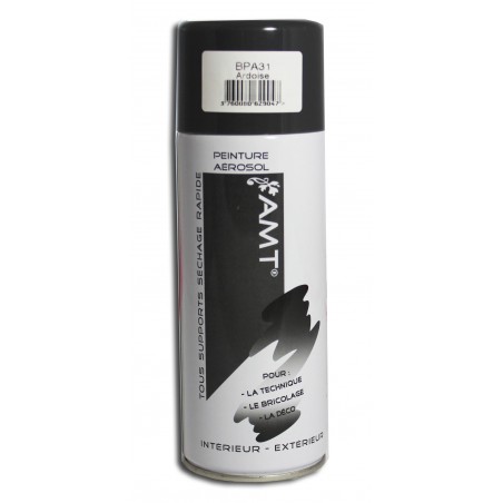 Acheter Bombe de peinture - ardoise - Amt