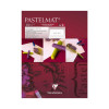 Bloc dessin pastelmat 12 feuilles 18x24cm blanc N°3 - Clairefontaine