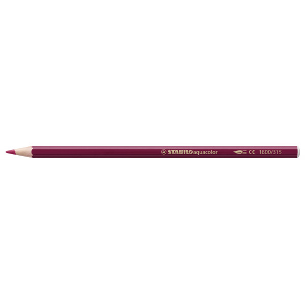 Etui carton de 36 crayons de couleur aquarellables STABILOaquacolor ARTY