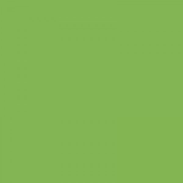Stylo-feutre STABILO point 88 - pointe fine - Vert pomme