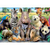 Puzzle - Animaux - Jungle - 300 pièces - Educa