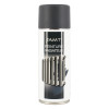 photo-Bombe de peinture - Ardoise gris mat - Pour radiateur - Décoration - 330ml - AMT