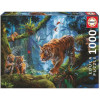 photo-Puzzle - 1000 pièces - 68x48 cm - Les tigres dans les arbres - Educa