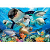 Puzzle - 500 pièces - Selfie sous l'eau - Dauphins - Requin - Orque - Tortue