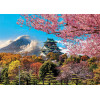 Puzzle - 2000 pièces - Le château d'Osaka au Japon - Educa