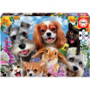 photo-Puzzle - 200 pièces - Le selfie des animaux - Chien - Chat - Dès 6 ans - Educa