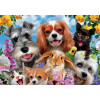Puzzle - 200 pièces - Le selfie des animaux - Chien - Chat - Dès 6 ans - Educa