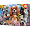 Puzzle - 200 pièces - Le selfie des animaux - Chien - Chat - Dès 6 ans - Educa