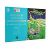 photo-Kit créatif - Insectes à assembler - Construction 3D - A partir de 6 ans