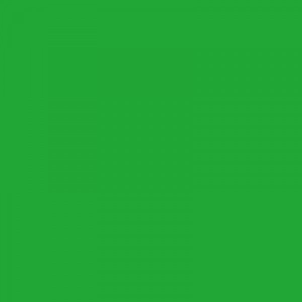 Peinture gouache - Vert jaune fluo - Mat - 500ml - Caran d'Ache - Gouache Eco