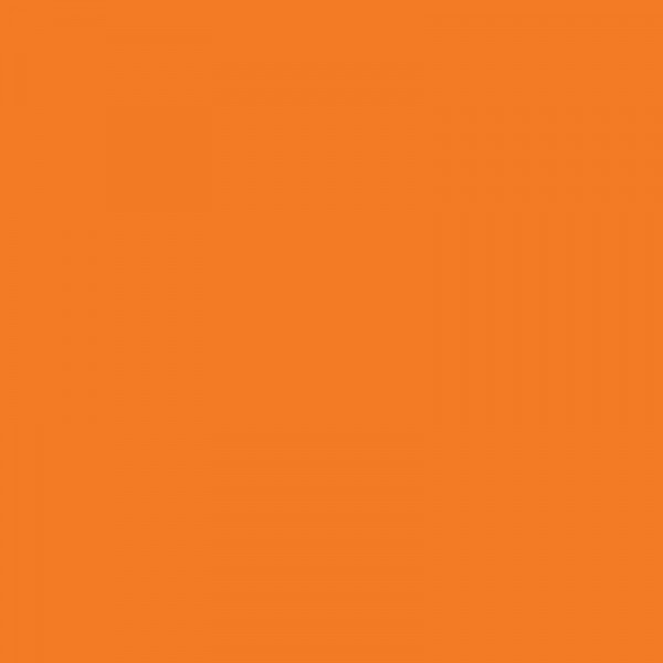 Stylo à bille - Orange fluo - Métal - Encre bleue - Pointe moyenne - Caran d'Ache - 849