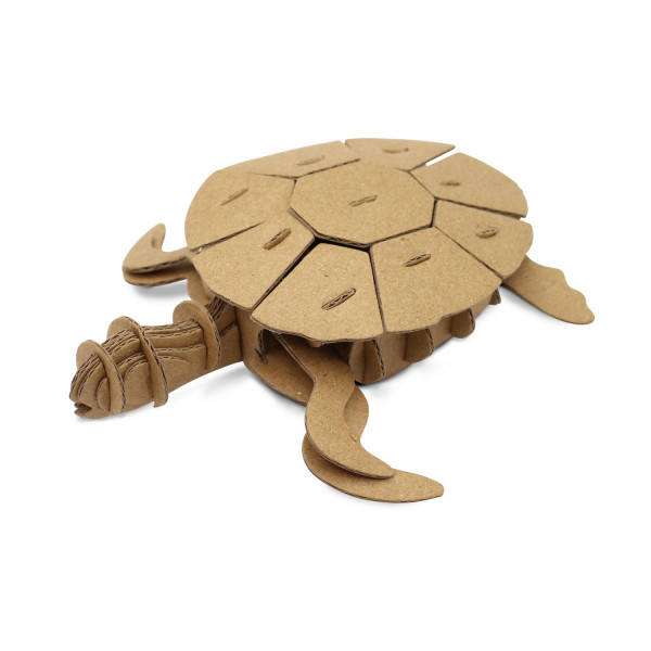 photo-Petite tortue en carton - A assembler - CTOP