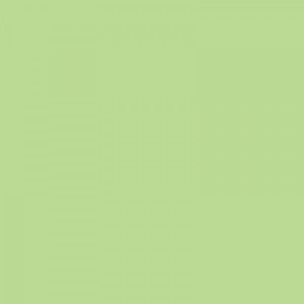 Carton de couleur vert clair A4 170 g 50 feuilles - Apli