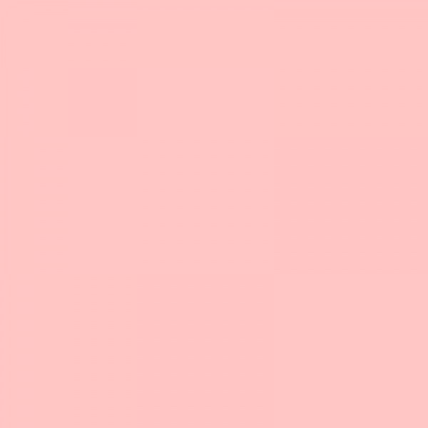 Pastel tendre à l'huile - Granit rose - 493 - Neopastel - Caran d'Ache