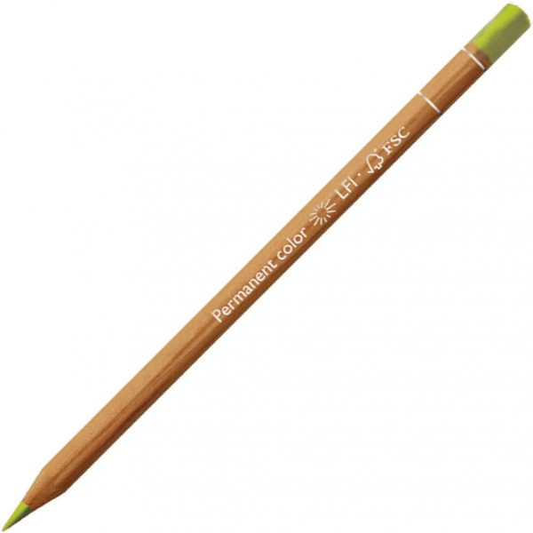 photo-Crayon de couleur - Jaune Olive - Carand'Ache - Luminance 6901