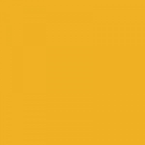 Crayon de couleur - Ocre Jaune - Caran d'Ache - Luminance 6901