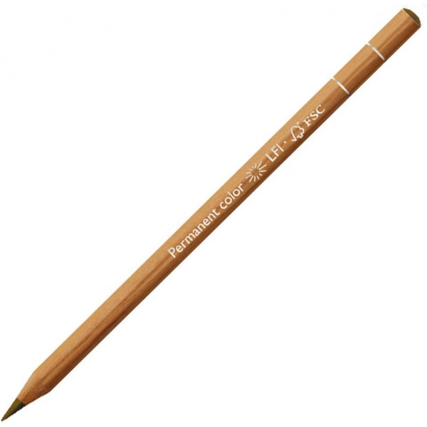 photo-Crayon de couleur - Olive brunâtre - Carand'Ache - Luminance 6901