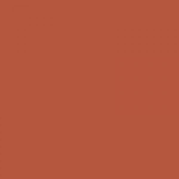 Crayon de couleur - Terracotta - Caran d'Ache - Luminance 6901