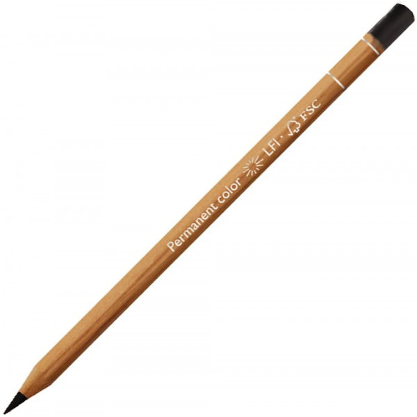 photo-Crayon de couleur - Terre de Cassel - Carand'Ache - Luminance 6901