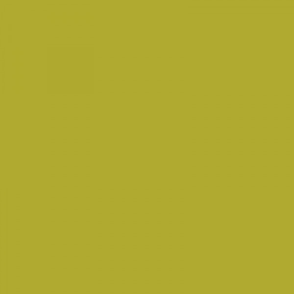 Crayon de couleur - Jaune Olive - Caran d'Ache - Luminance 6901