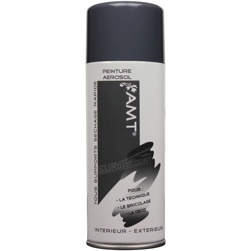 photo - Bombe de peinture - Ardoise - AMT - 330ml