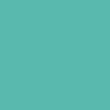 Crayon de couleur - Vert malachite clair - Caran d'Ache - Luminance 6901