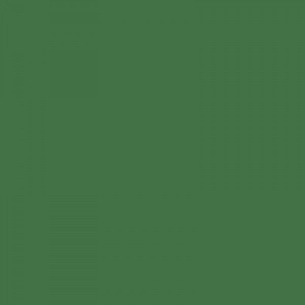 Crayon de couleur - Vert oxyde de chrome - Caran d'Ache - Luminance 6901