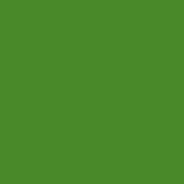 Crayon de couleur - Vert prairie - Caran d'Ache - Luminance 6901