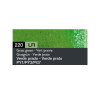 Crayon de couleur - Vert prairie - Caran d'Ache - Luminance 6901