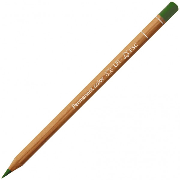 photo-Crayon de couleur - Vert mousse - Carand'Ache - Luminance 6901