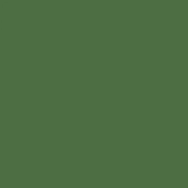 Crayon de couleur - Vert mousse - Caran d'Ache - Luminance 6901