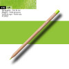 Crayon de couleur - Vert de Mai - Caran d'Ache - Luminance 6901
