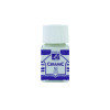 photo-Peinture pour céramique - Blanc - Lefranc Bourgeois - Flacon de 50ml